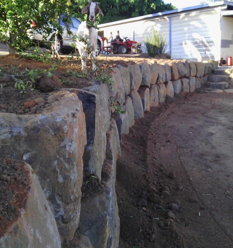 Basalt Rock Wall